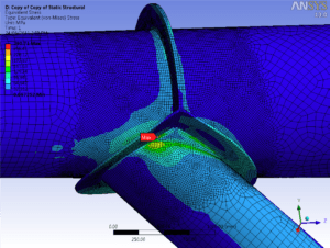 FEA - lateral branch